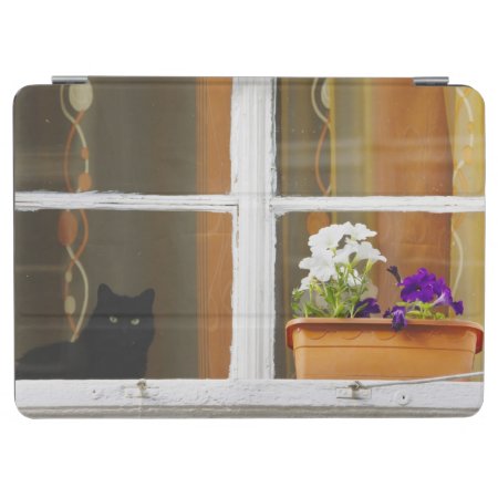 Flower By The Window, Sighisoara, Romania Ipad Air Cover