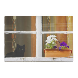 Flower by the window, Sighisoara, Romania Placemat
