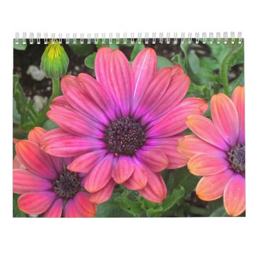 Flower Calendar