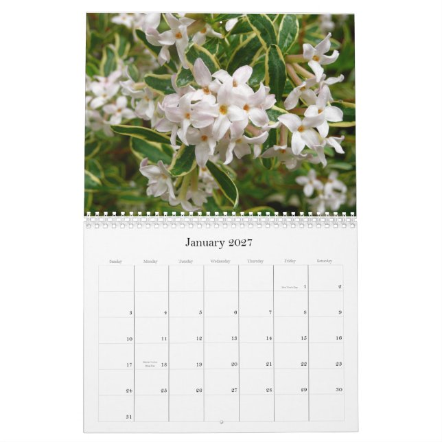 Flower Calendar 2013 (Jan 2027)