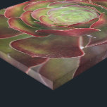 Flower Canvas Print<br><div class="desc">canvas art</div>