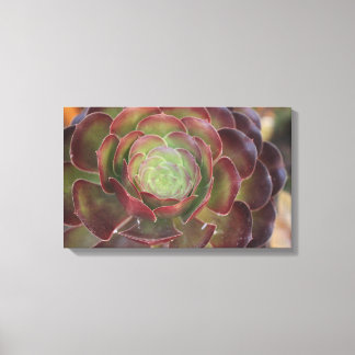 Flower Canvas Print