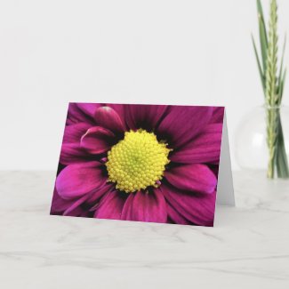 Flower, card
