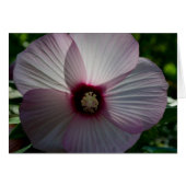 Flower Card (Front Horizontal)