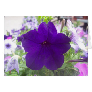 Flower Cards