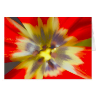 flower cards