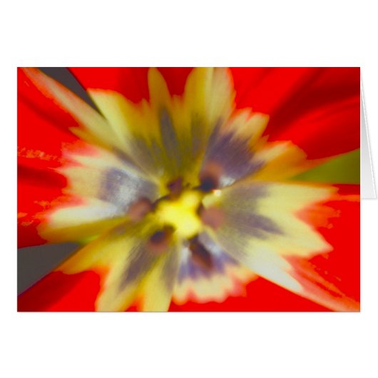 flower cards (Front Horizontal)