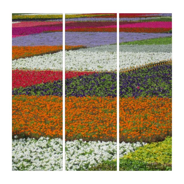 Flower Carpet Triptych (Front)