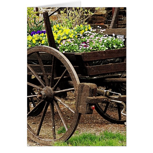 Flower Cart Cards (Front)