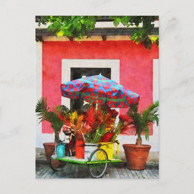 Flower Cart San Juan, Puerto Rico Postcard (Front)