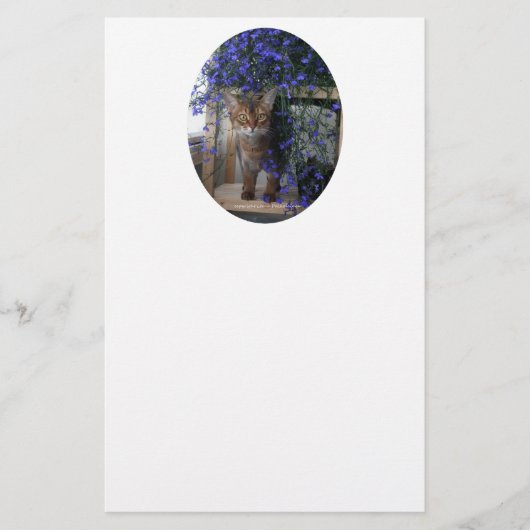 Flower Cat Oval (Front)