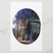 Flower Cat Oval (Back)