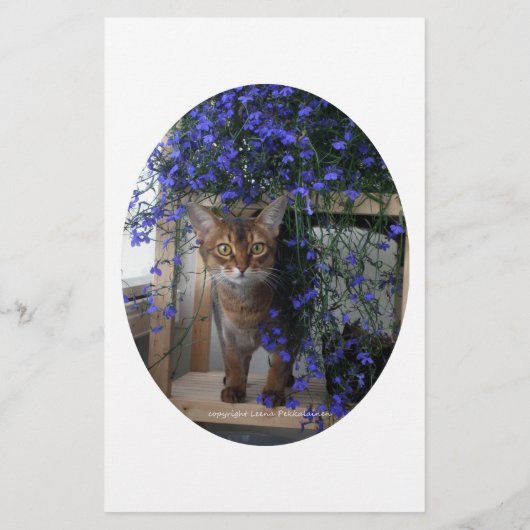 Flower Cat Oval (Back)