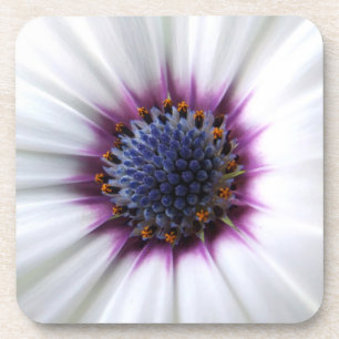 Flower Center Coaster