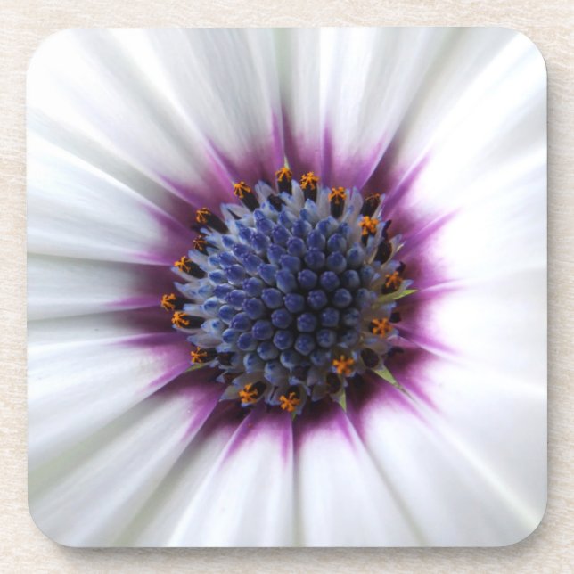 Flower Center Coaster (Front)