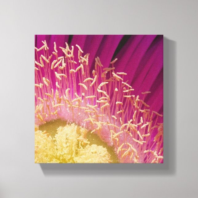 Flower Center Wrapped Canvas Print (Front)