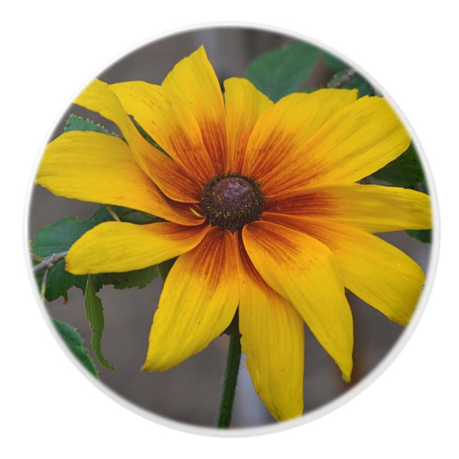 Flower Ceramic Knob (Front)