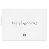 Flower Chaser (Back Horizontal)