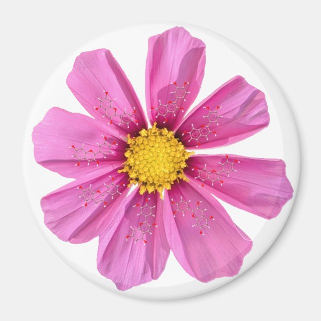 Flower Chemistry Magnet (Front)