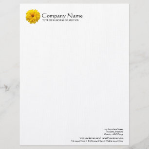 Flower - Chrysanthemum Letterhead