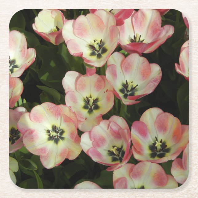 Flower Coaster Set (Front)