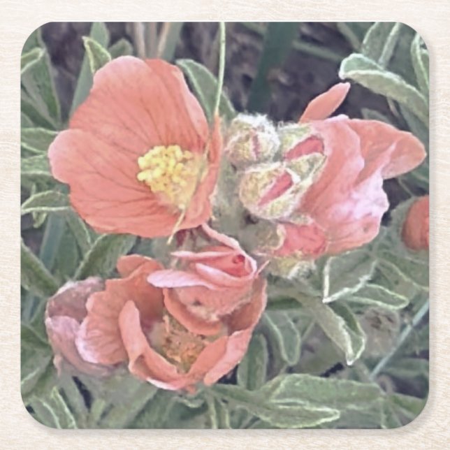 Flower Coasters (Front)