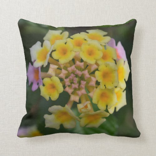 Flower Collection - Lantana Pillow