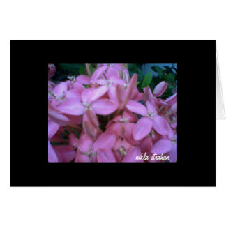 *FLOWER COLLECTION* note card
