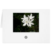 *FLOWER COLLECTION* note card (Back Horizontal)