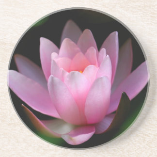 flower coster drink coaster