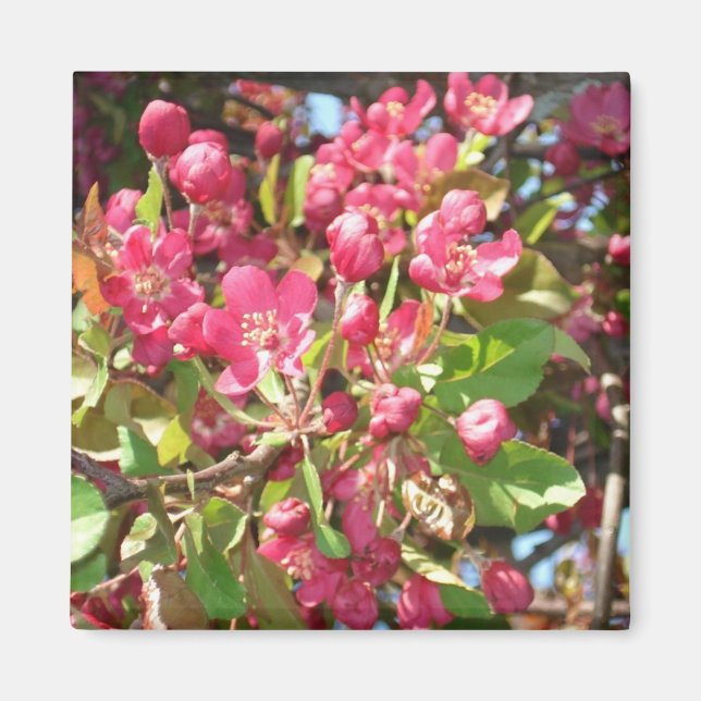 Flower Crab1 Magnet (Front)