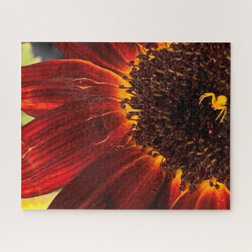 Flower Crab Spider and Red Sunflower Jigsaw Puzzle