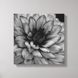 Flower Dahlia Canvas Print
