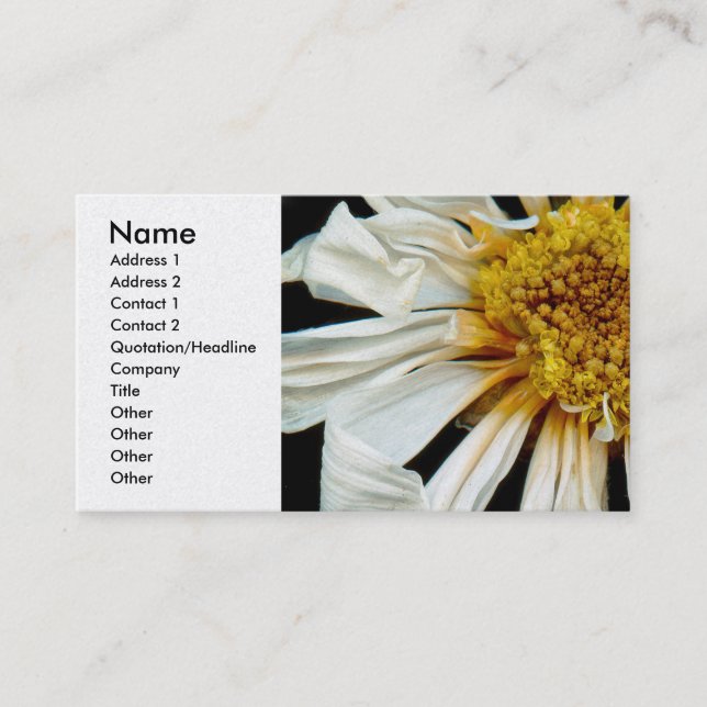 Flower - Daisy - Drunken sun Business Card (Front)