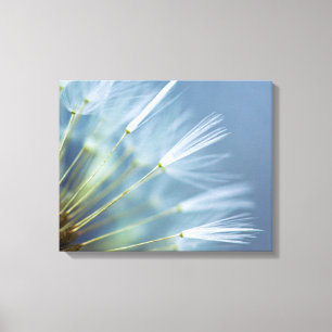 Flower Dandelion Seed Head Canvas Print