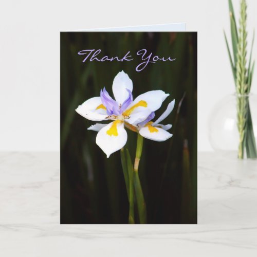 Flower  Dietes Thank You Card