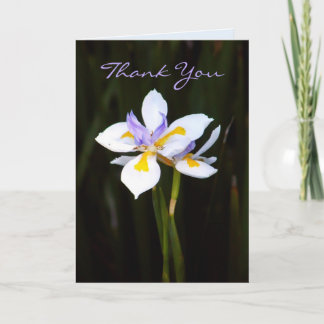 Flower : Dietes Thank You Card