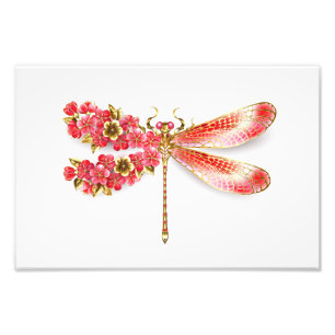 Flower dragonfly with jewelry sakura photo print