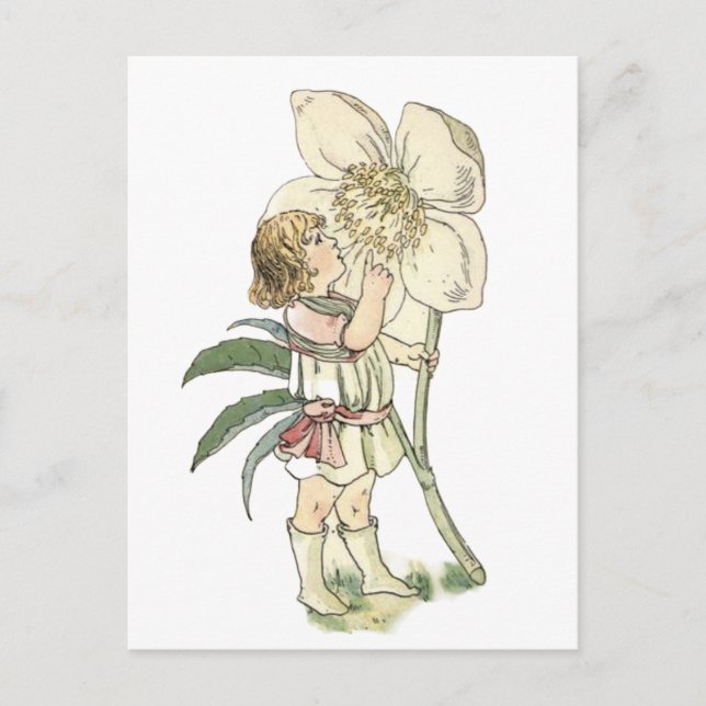 Flower Fairy Folded Postcard (Front)