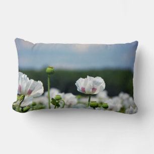 Flower field, Papaver somneferum poppy flower. Lumbar Pillow