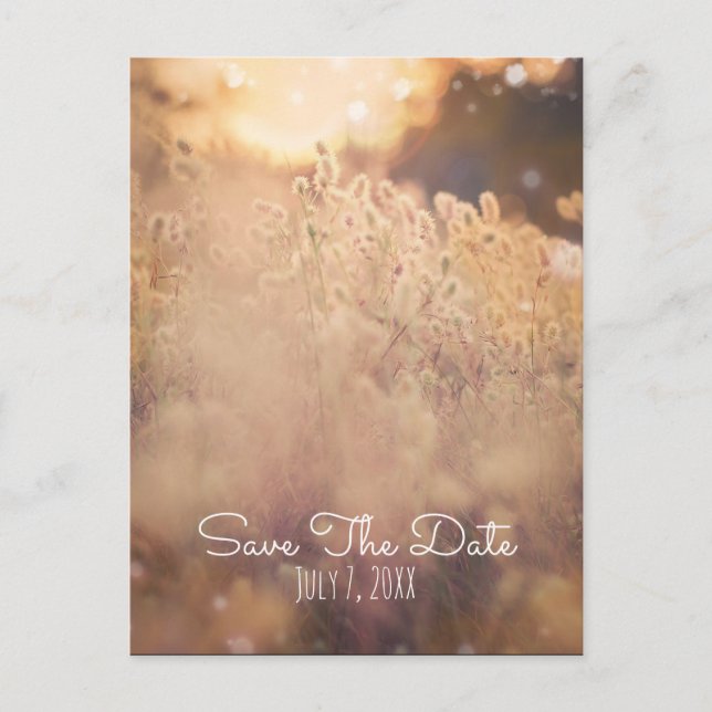 Flower Field Rustic Country Wedding Save The Date Announcement Postcard (Front)