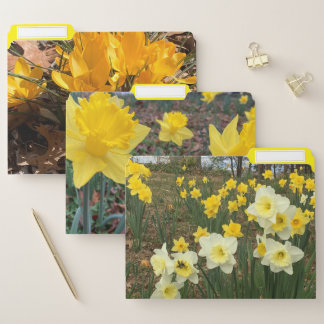 Flower File Folders
