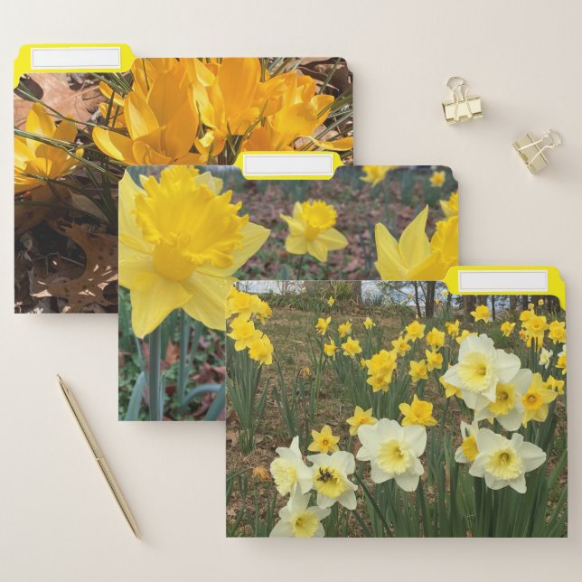 Flower File Folders (Set)