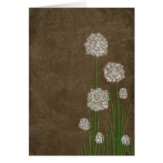 Flower Fluff Cards (Front)