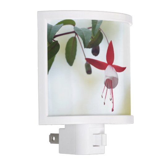 Flower Fuchsia Night Light (Right)