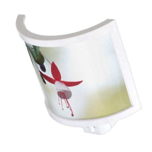 Flower Fuchsia Night Light (Angled)