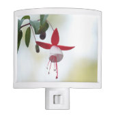 Flower Fuchsia Night Light (Front)