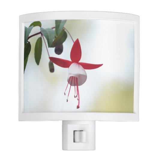 Flower Fuchsia Night Light (Front)