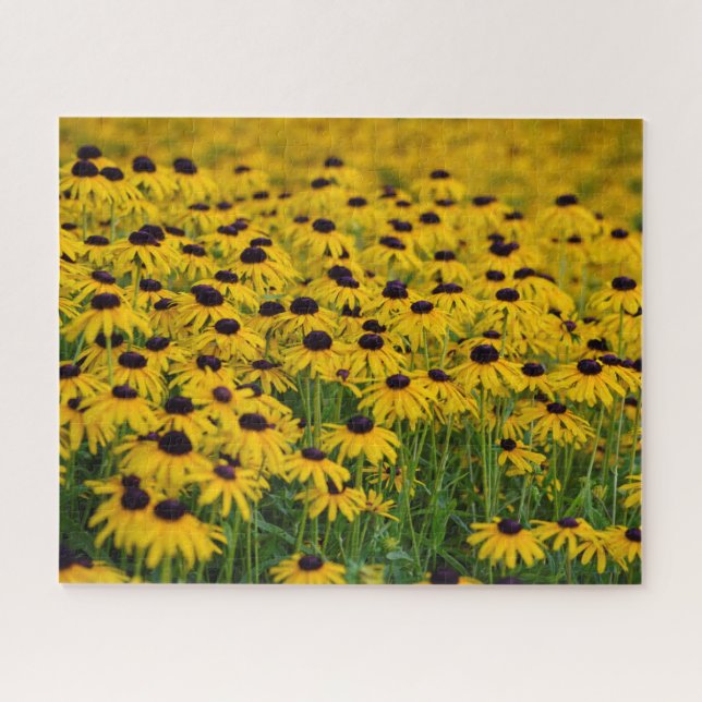 Flower Garden - 16x20 - 520 pcs Jigsaw Puzzle (Horizontal)