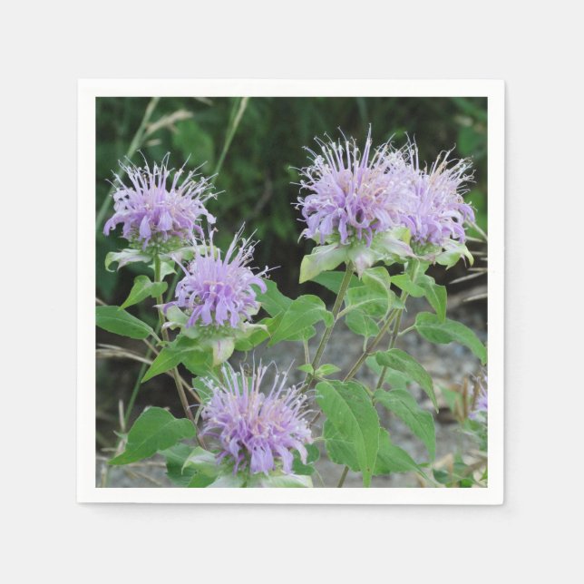 Flower Garden 3 Napkins (Front)